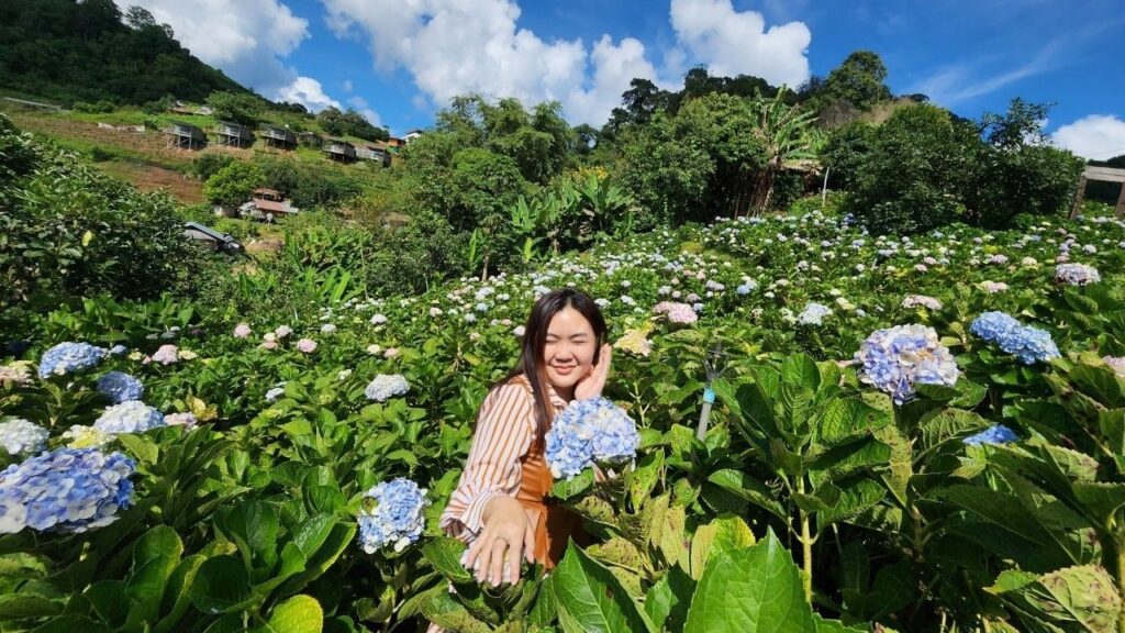 สภาพอากาศ ตำบล ป่งไฮ